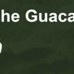 Autentica Guacamole contra LDPA o Active Directory con Docker Compose